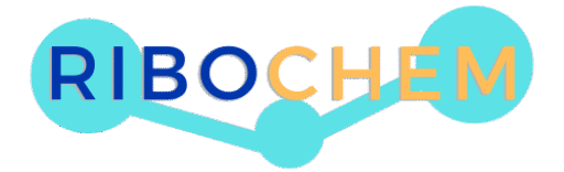 Ribochem